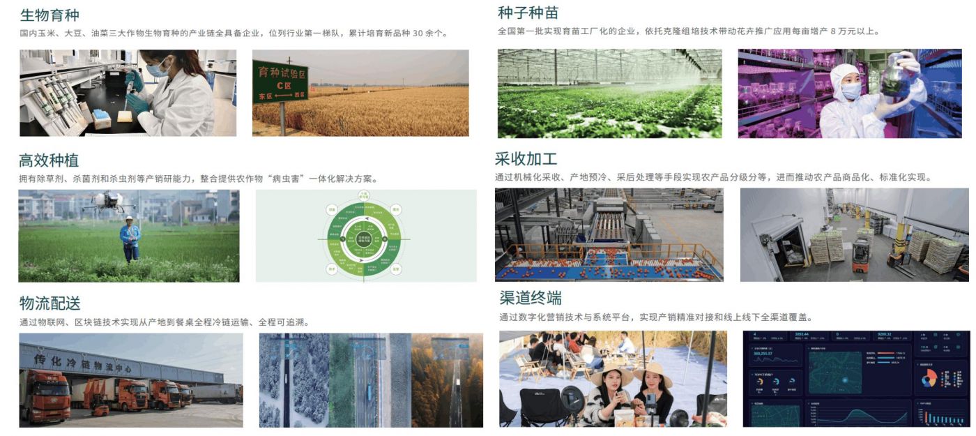 從研發(fā)培育到生產(chǎn)銷售終端全流程標準化打造 