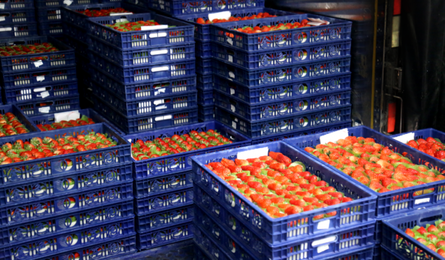 1612403733401782QMaY.png 圖片7.png