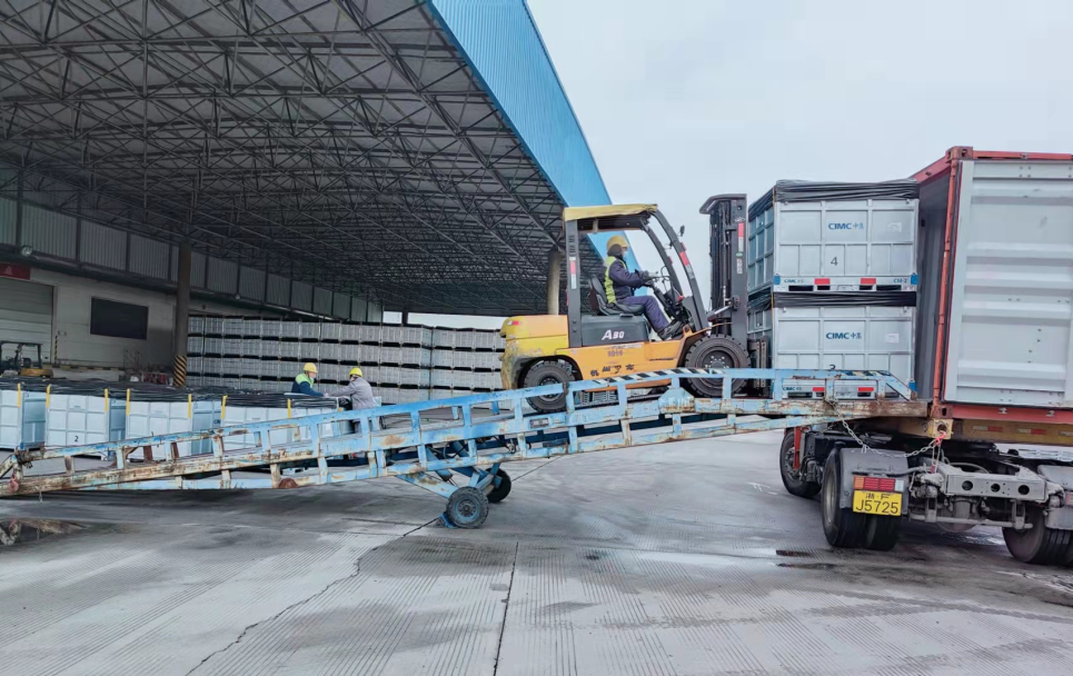 165542952643839392iY.png 9.png