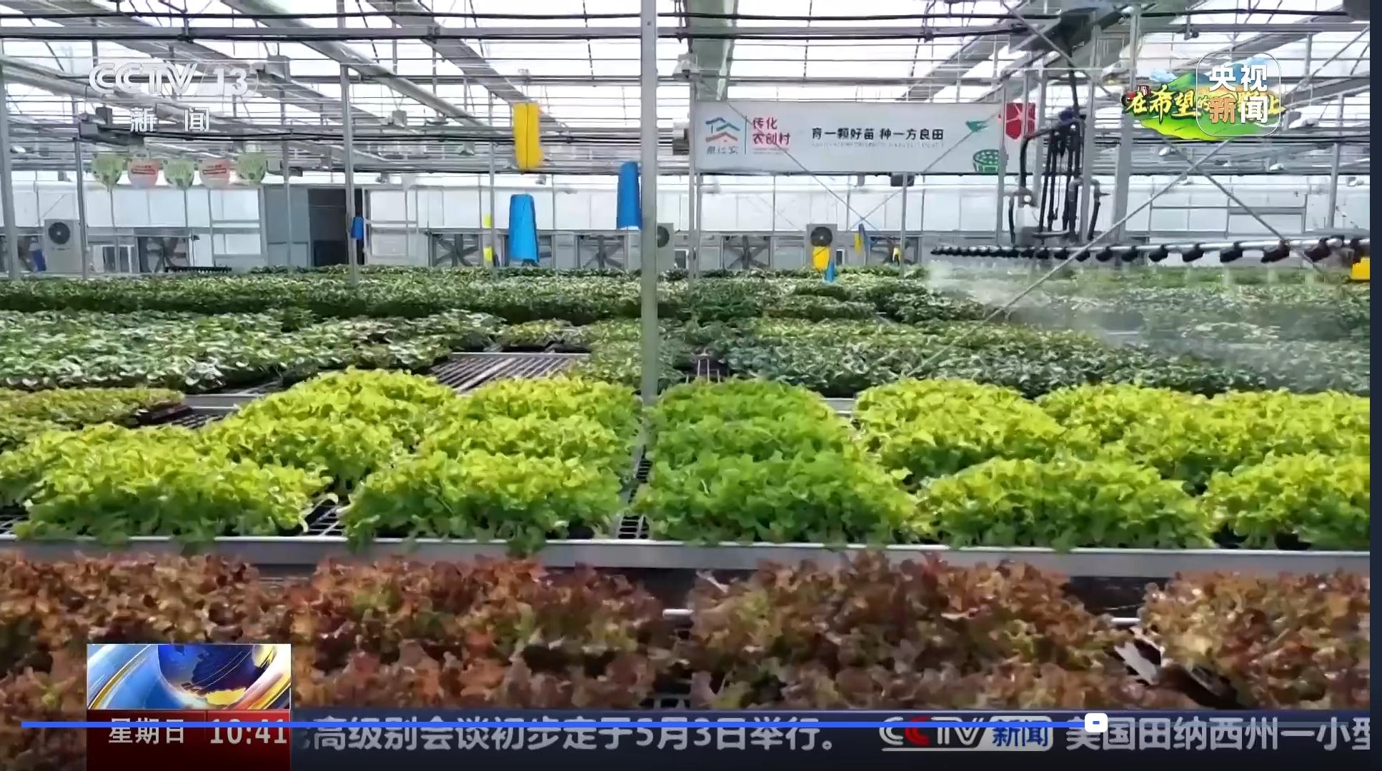 1745739669786663X8aX.jpg 數(shù)字種苗工廠.jpg