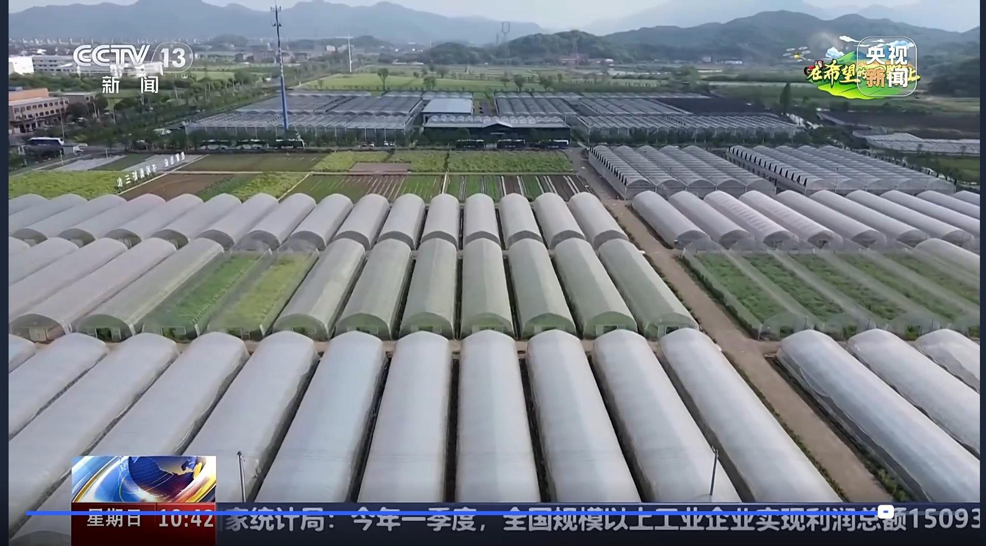 1745739739922272QGDP.jpg 農(nóng)創(chuàng)村全景.jpg