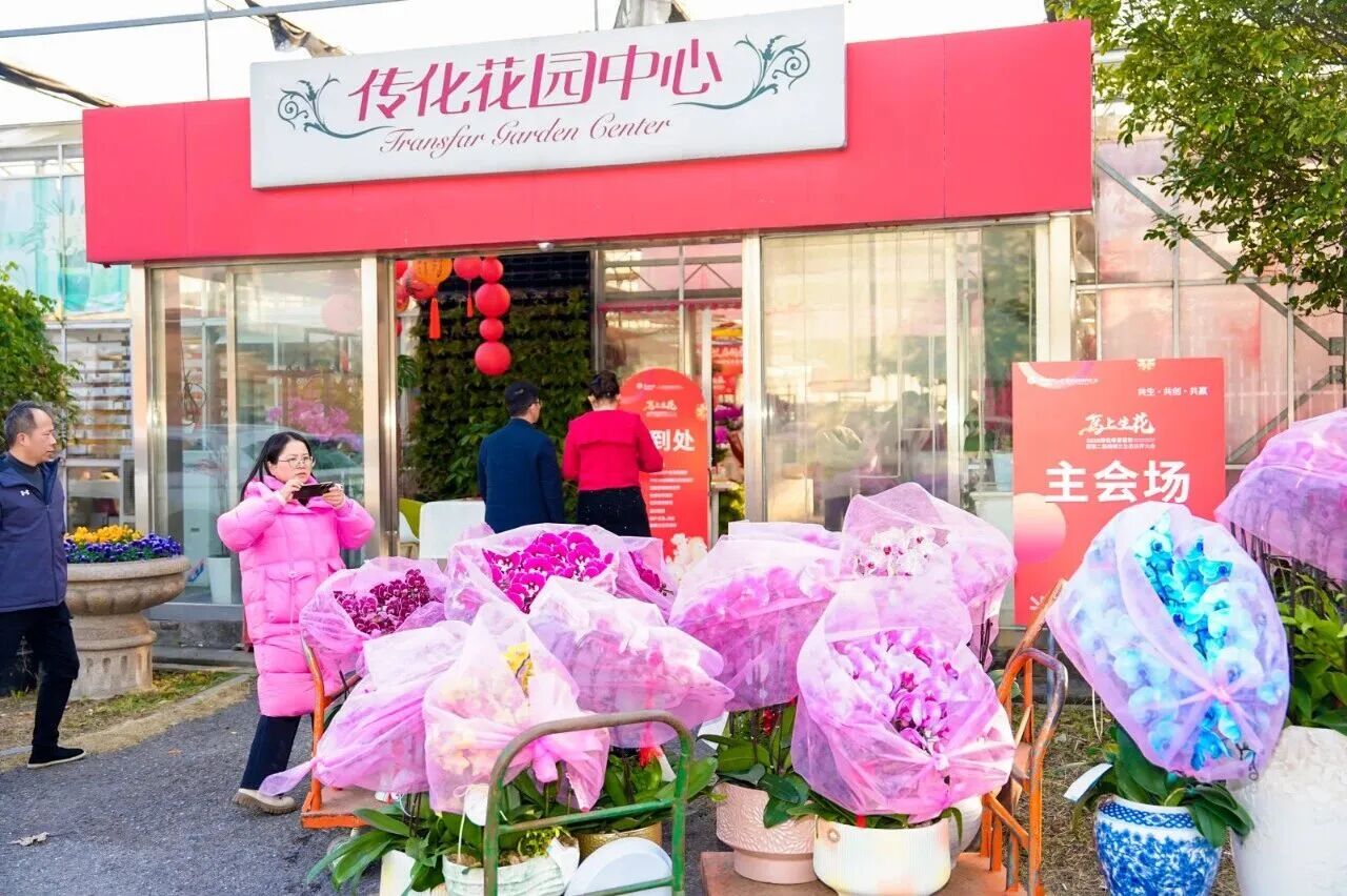 17688869038462347Es6.jpg 1.jpg