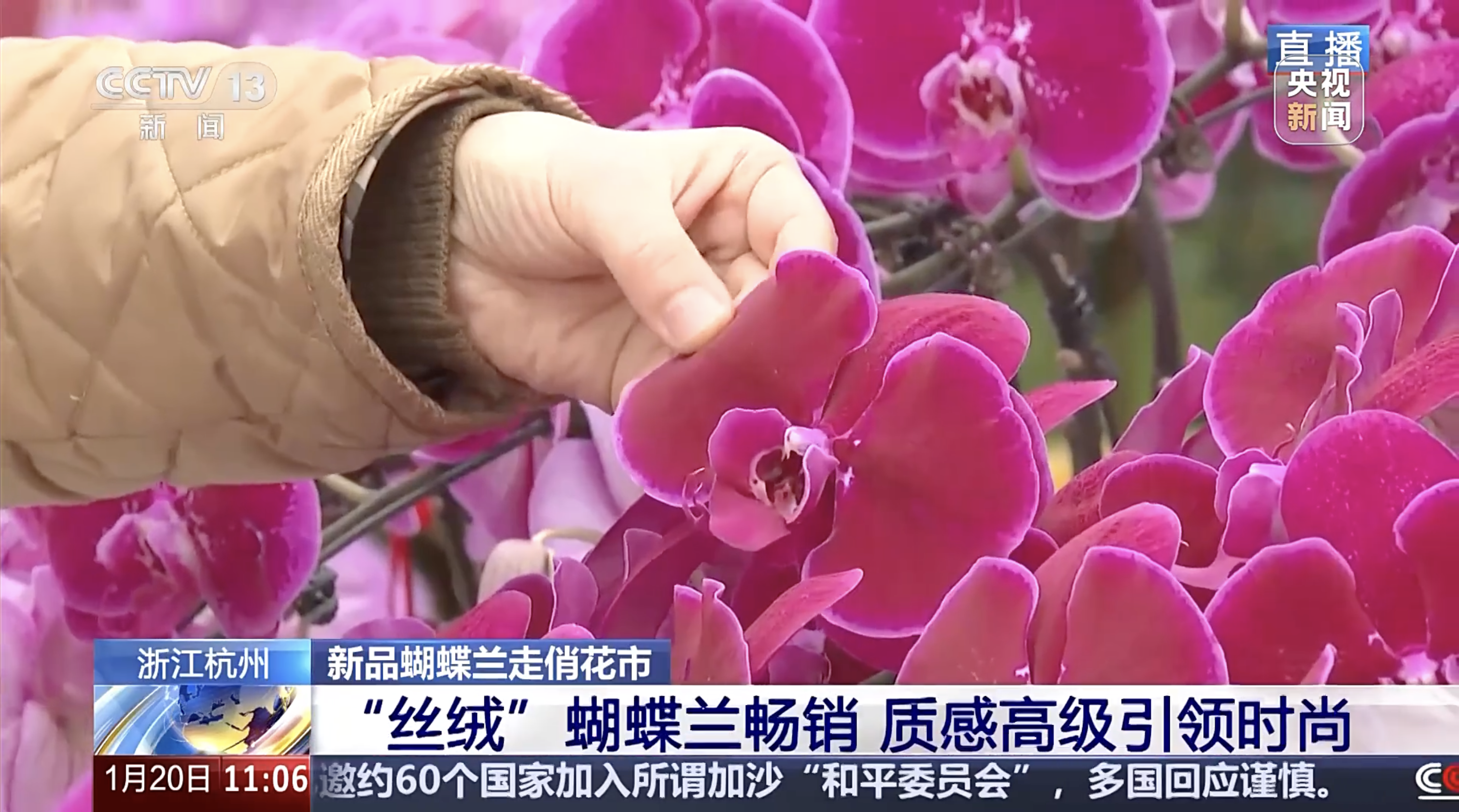 1768887062699318oMUD.png 2.png