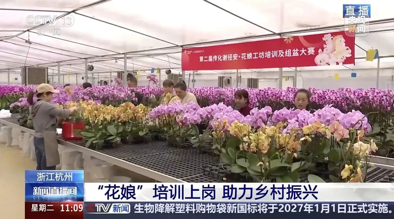 1768887197688886mEiy.jpg 6.jpg