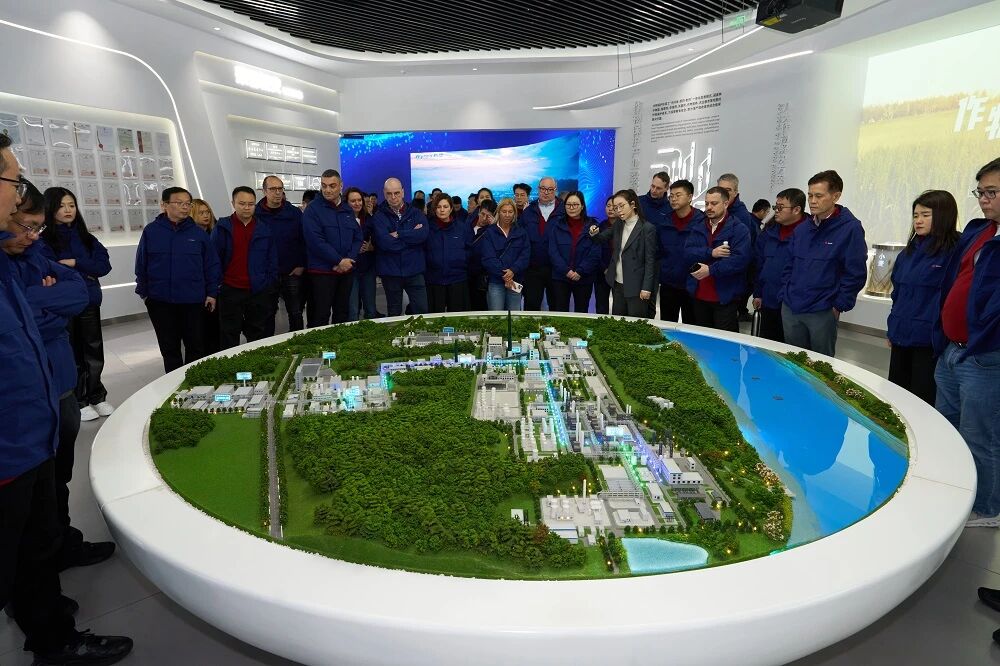 1772779534198350pJcT.jpg 3.jpg