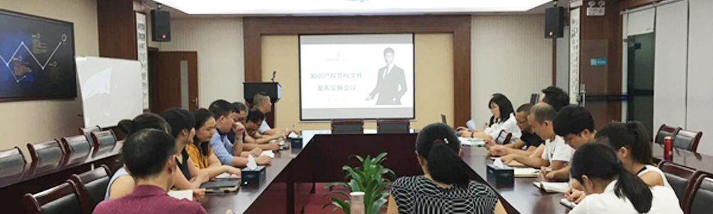 雷諾表召開(kāi)知識(shí)產(chǎn)權(quán)貫標(biāo)文件發(fā)布實(shí)施會(huì)議